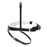 Passier anatomically formed caveson special with white lining and flash strap