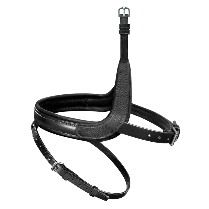 Passier exchangeable noseband with more room for the cheekbone with application