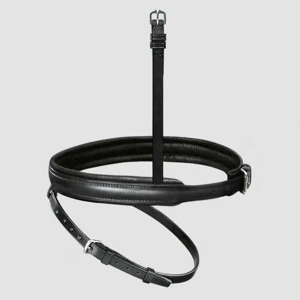 Passier exchangeable flash noseband