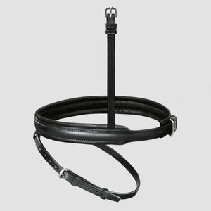 Passier exchangeable flash noseband