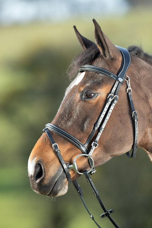 HFI functional bridle - HorseworldEU