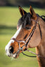 HFI techno bridle - HorseworldEU