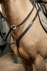 HFI pro breastplate Arezzo