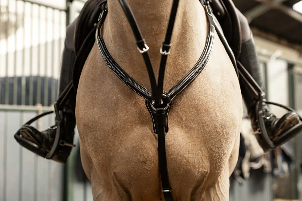 HFI pro breastplate Arezzo