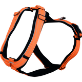 Herm. Sprenger foal harness 45744