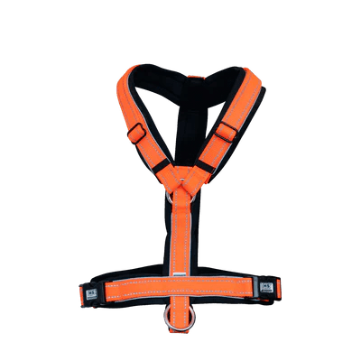 Herm. Sprenger foal harness 45744