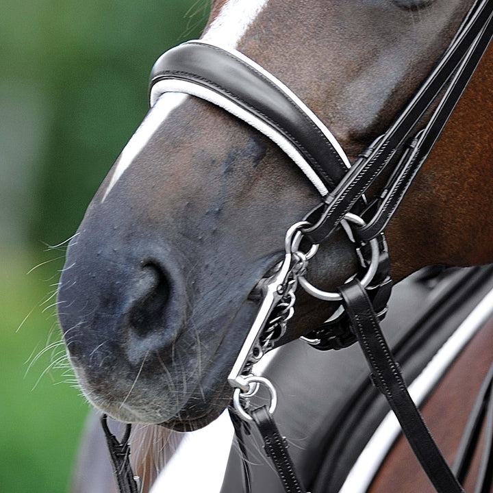 Passier exchangeable anatomically formed caveson with white lining