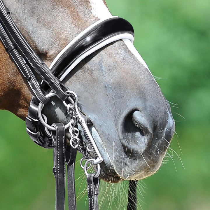 Passier exchangeable anatomically formed caveson with patent leather trim and white lining