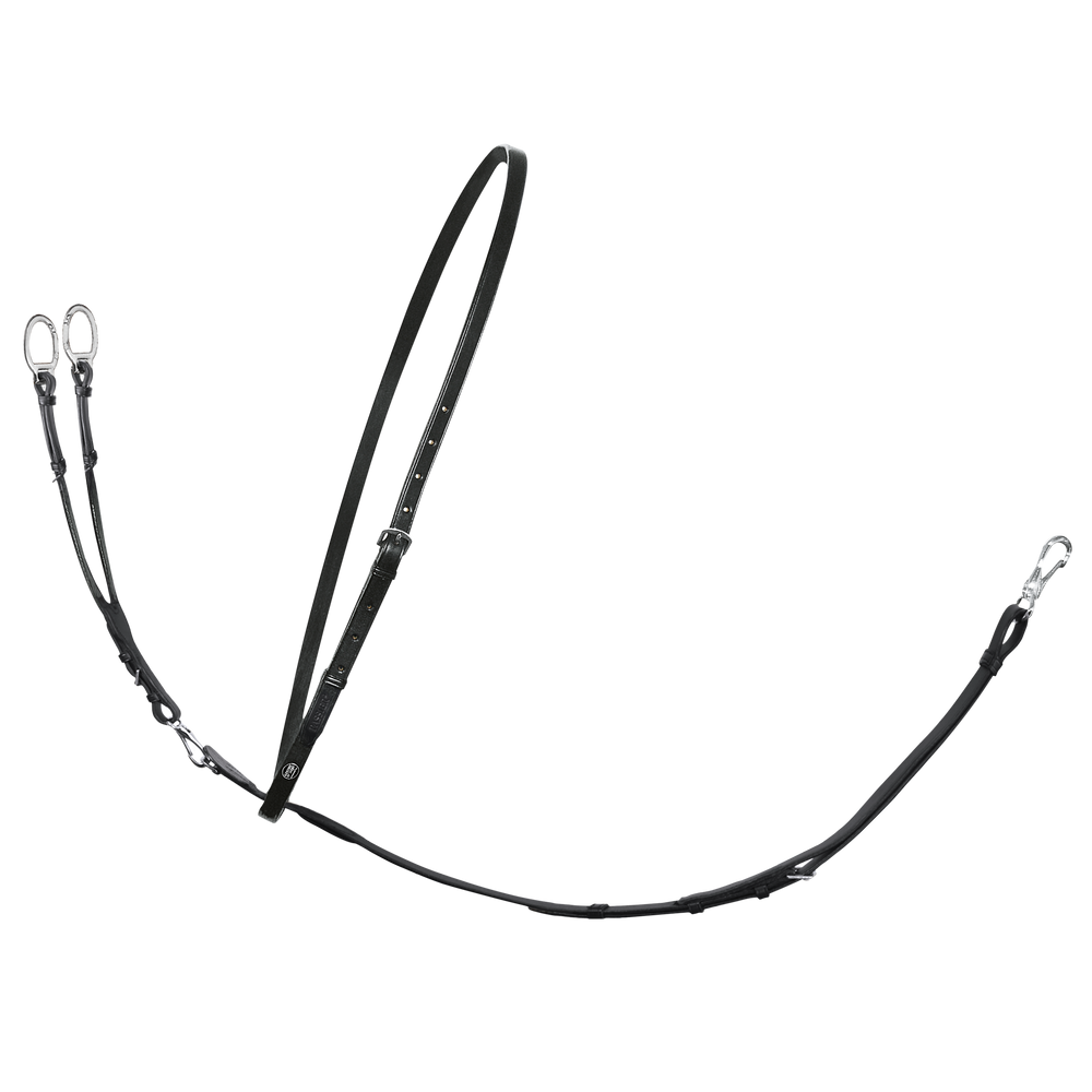 Passier Martingale