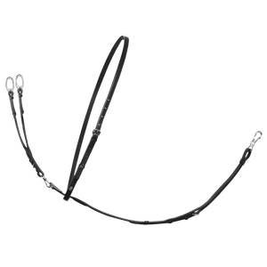 Passier Martingale