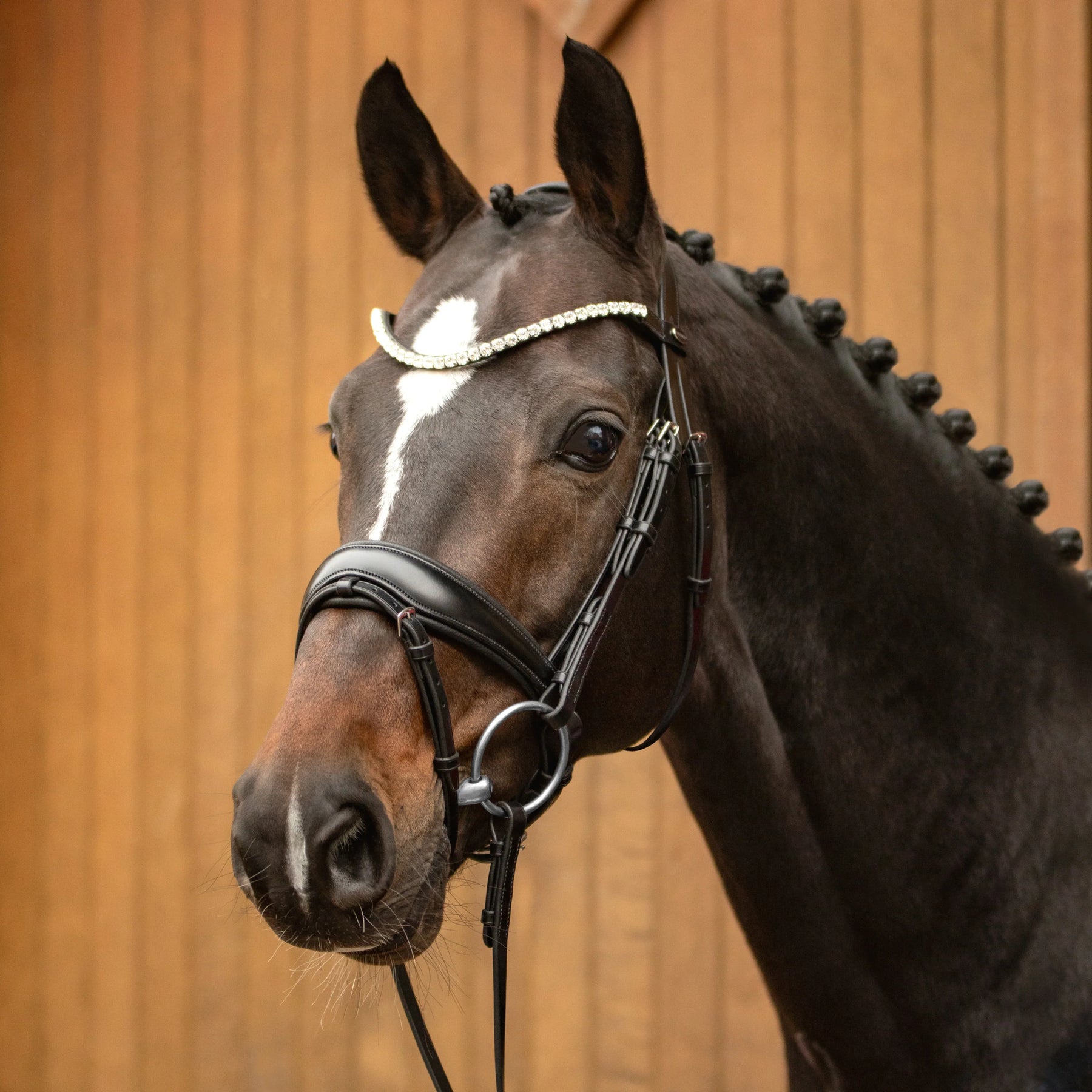 Passier favorite Trense powered by Ingrid Klimke