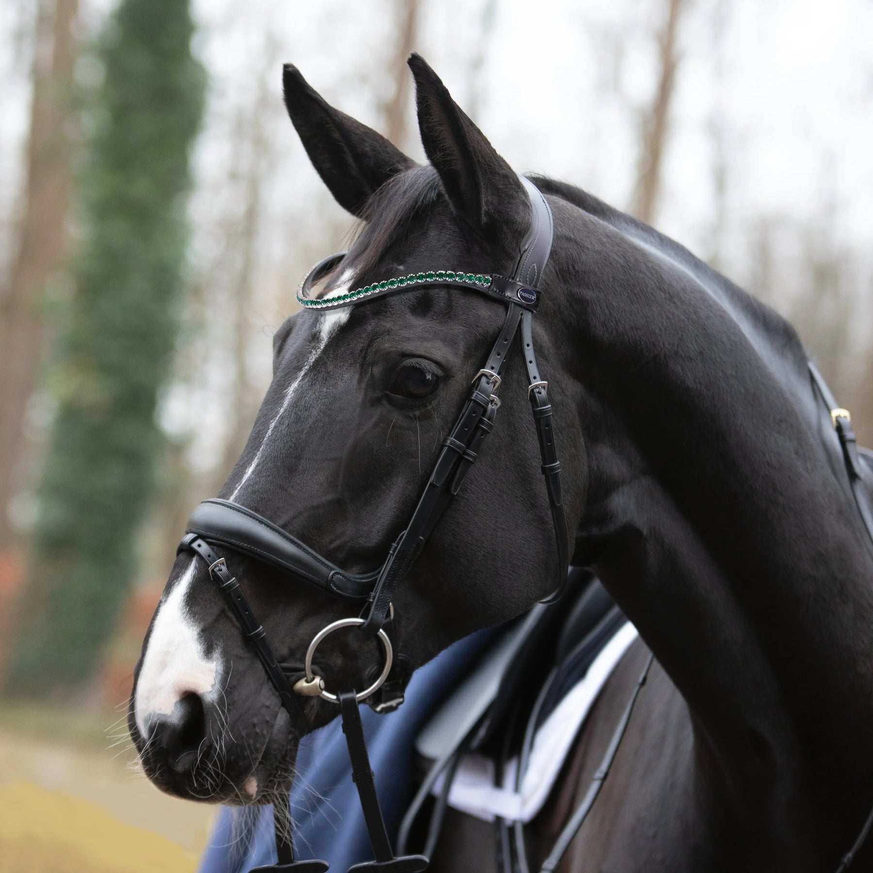 Passier fantastic Trense
