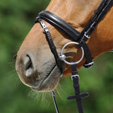 Passier anatomically formed flash noseband