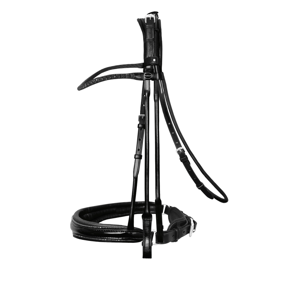 Passier highscore double bridle