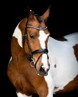 Fair Bridle w. Anatomic Neckpiece - Black