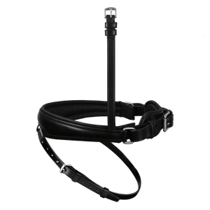 Passier anatomically formed caveson special with padded flash strap loop