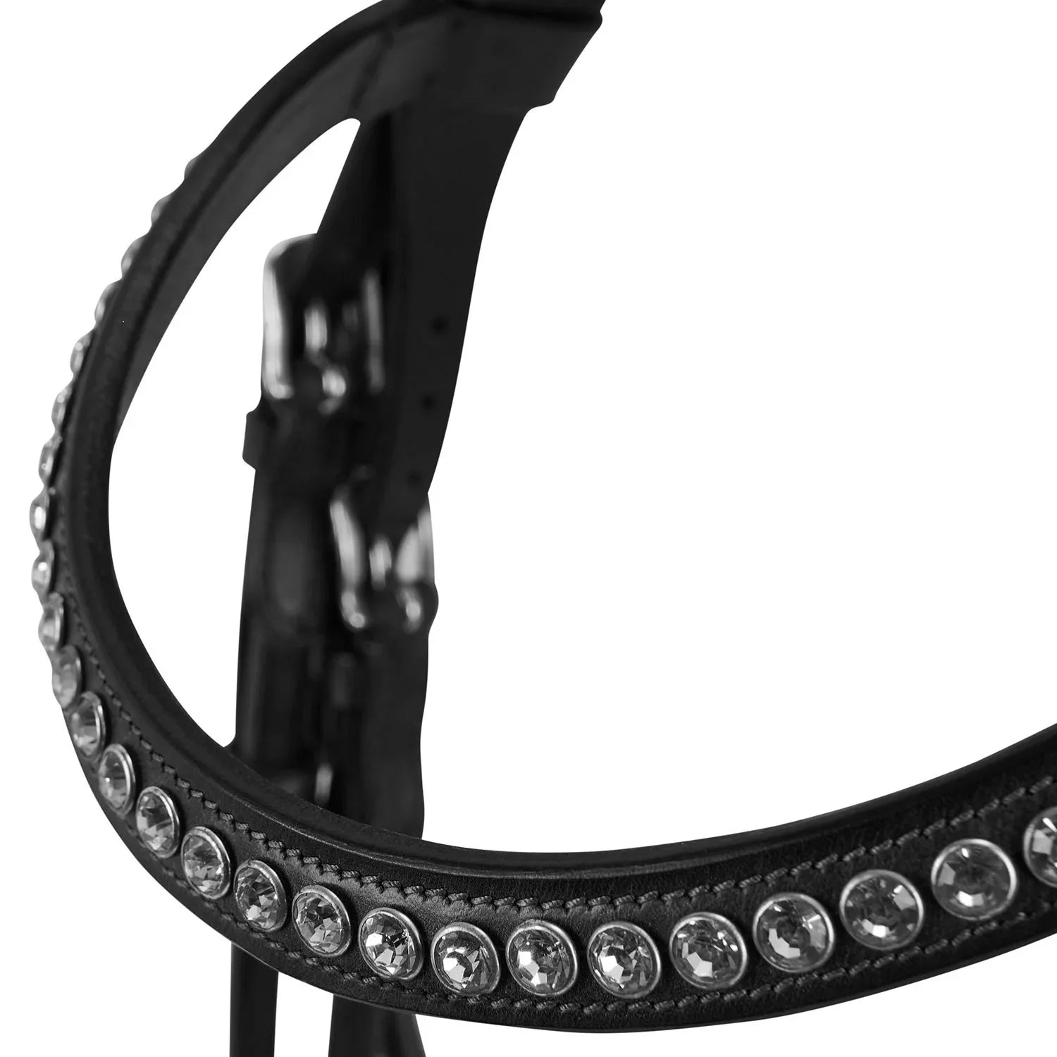 Acavallo poesia bridle