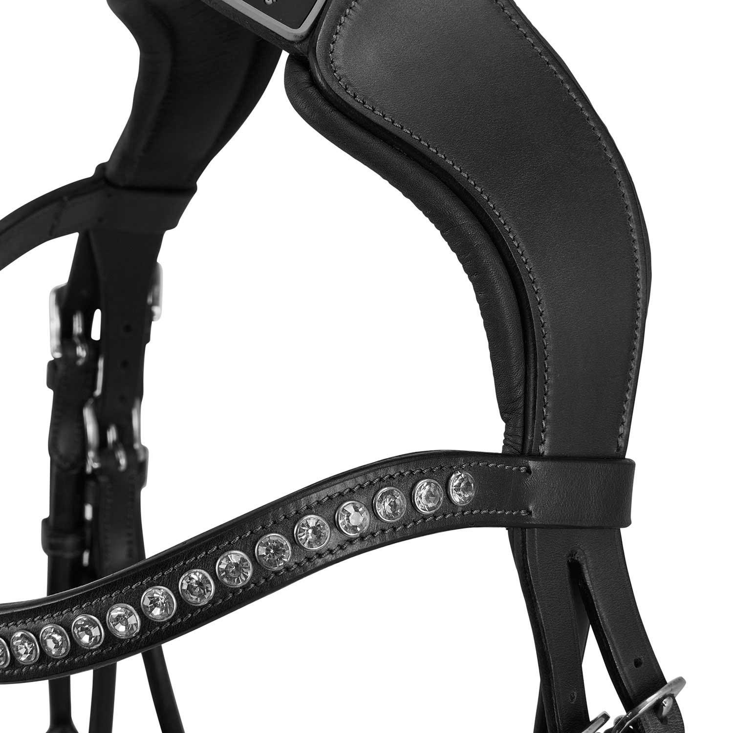 Acavallo poesia bridle