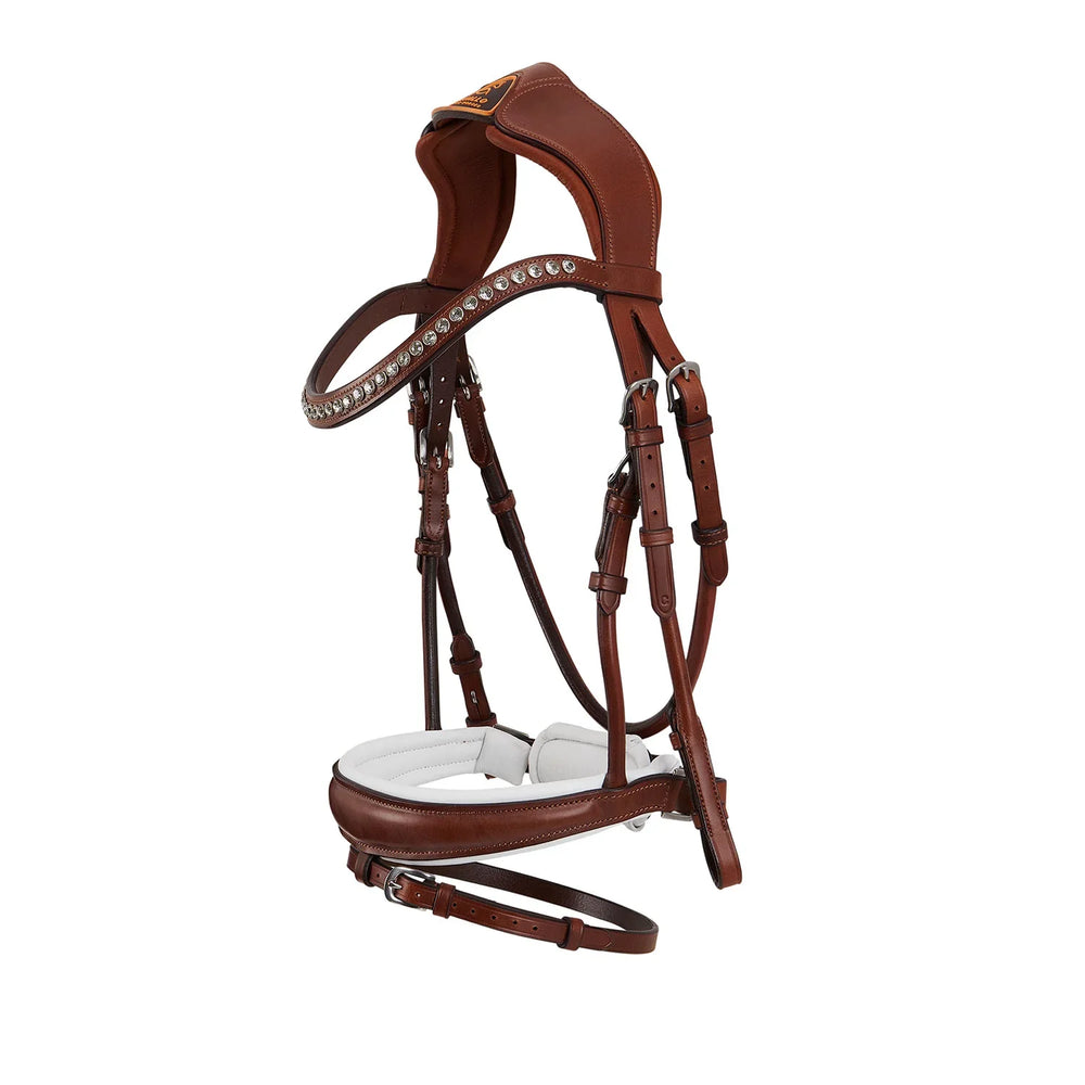 Acavallo poesia bridle