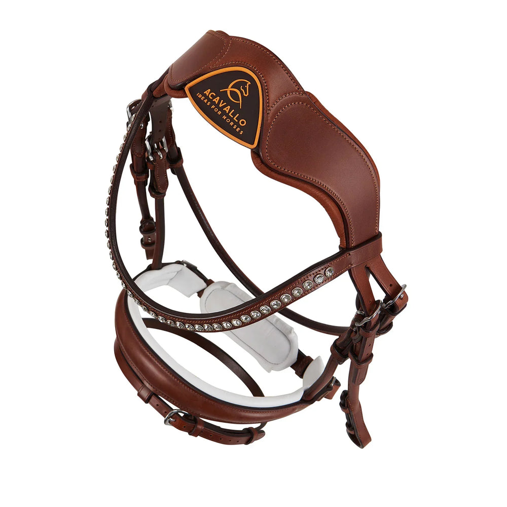 Acavallo poesia bridle