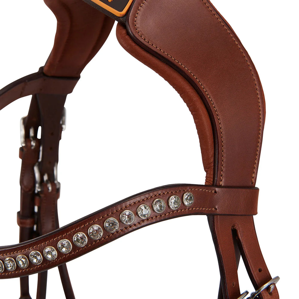 Acavallo poesia bridle