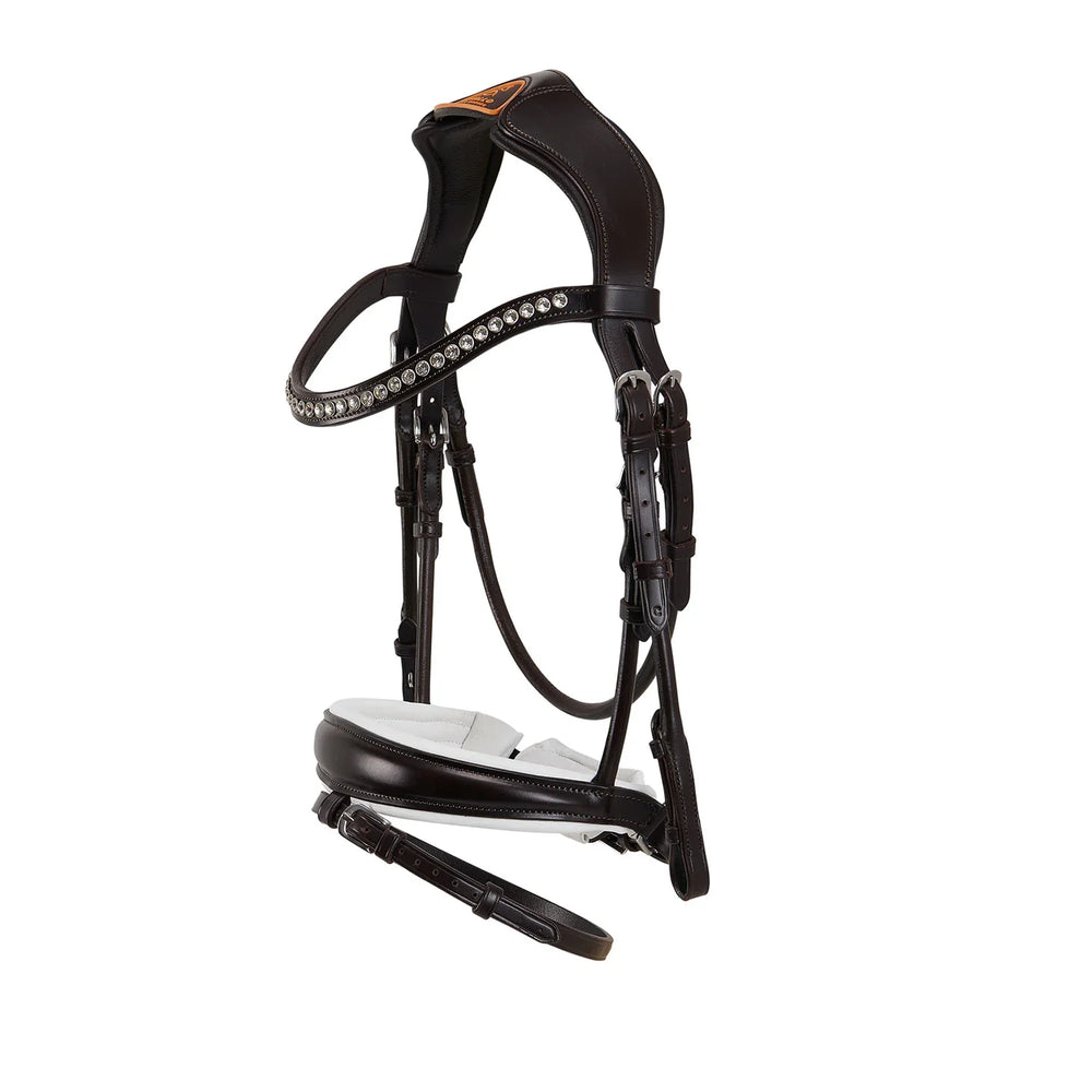 Acavallo poesia bridle
