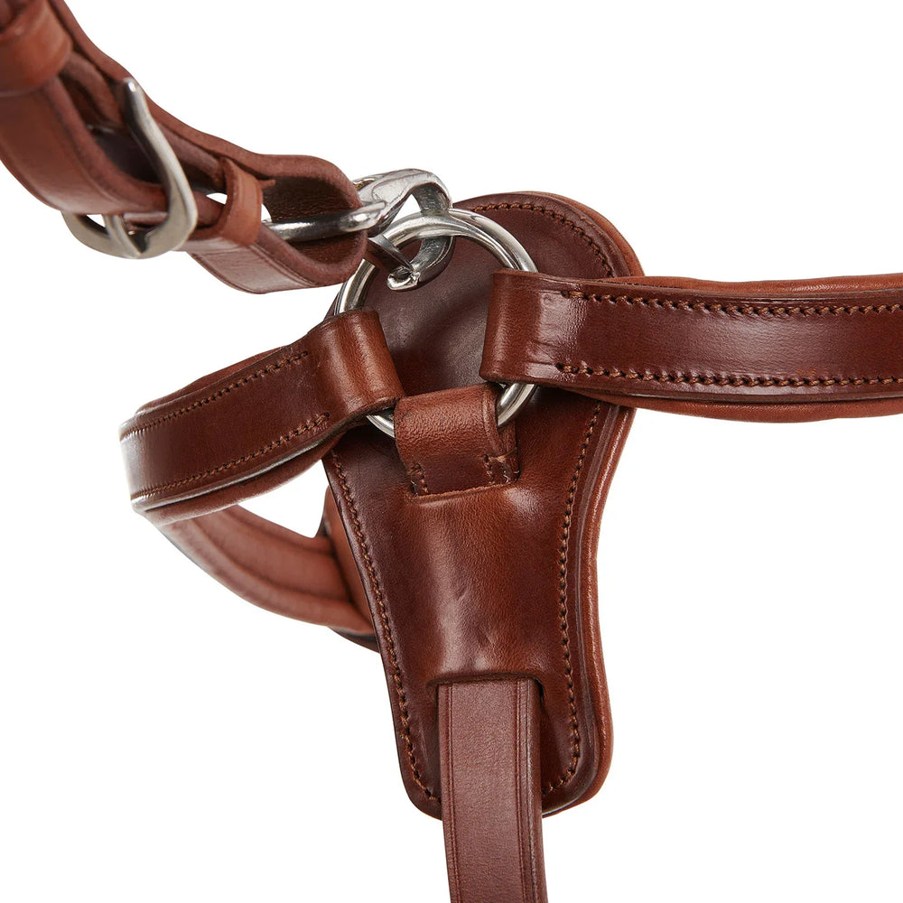 Acavallo five point breastplate calfskin