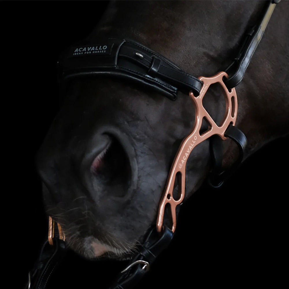 Acavallo hackamore noseband calfskin