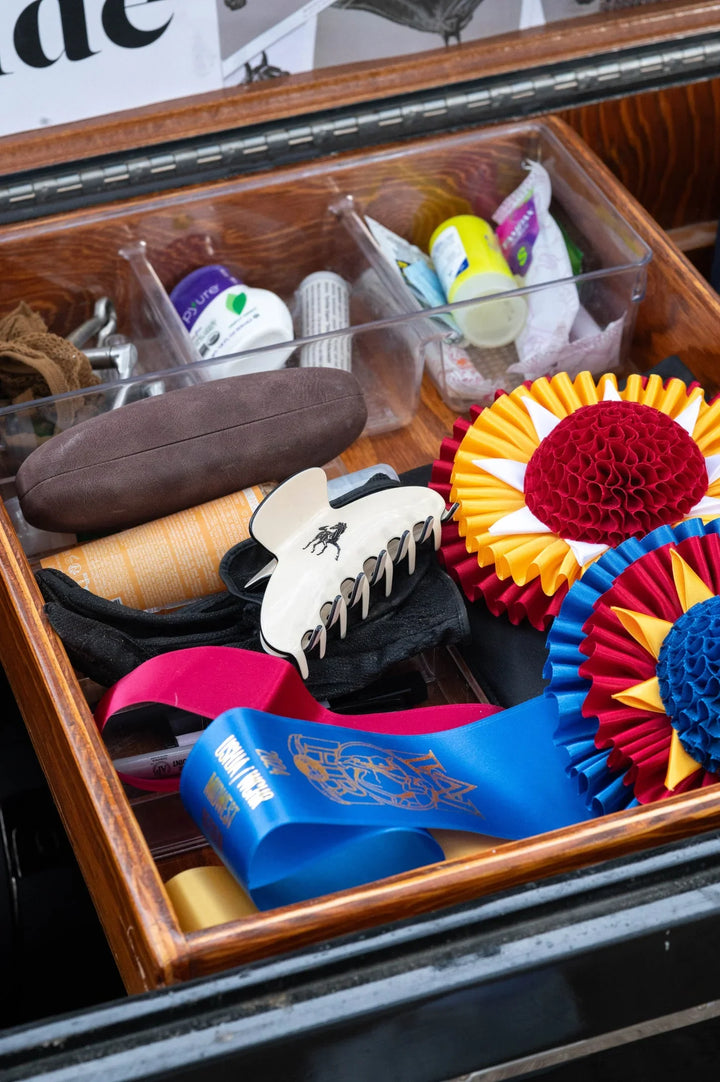 Ellsworth x Milton Menasco claw clip collection (2 clips)