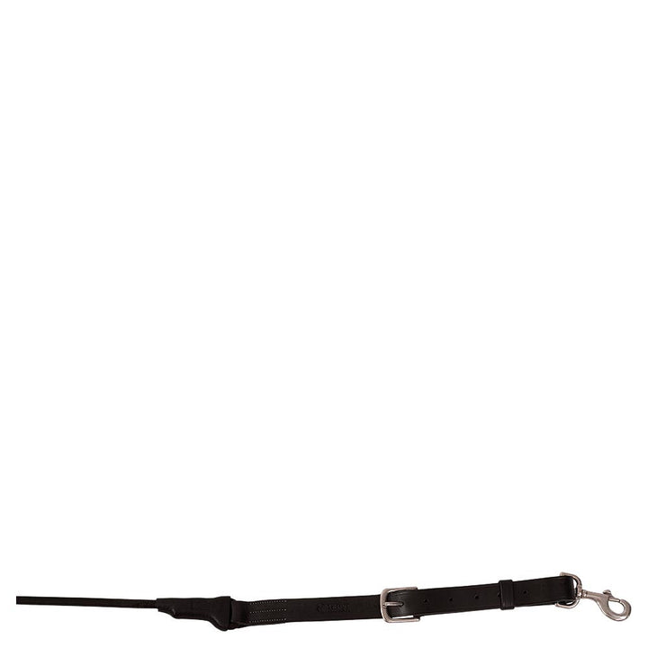 Trust training reins Tyron