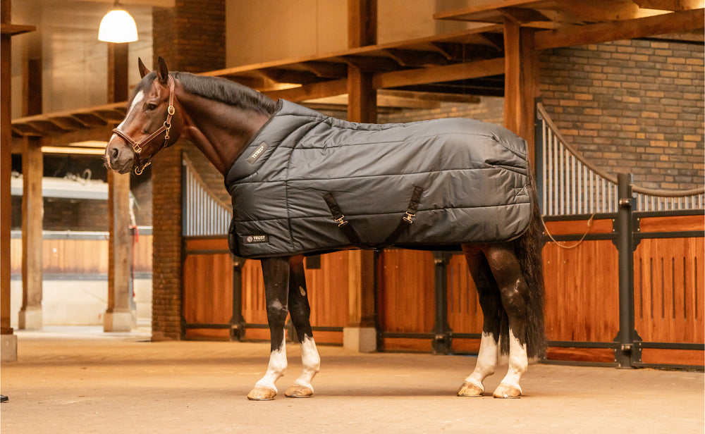 Trust equestrian tetris stable rug 100 gram