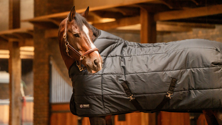 Trust equestrian tetris stable rug 400 gram