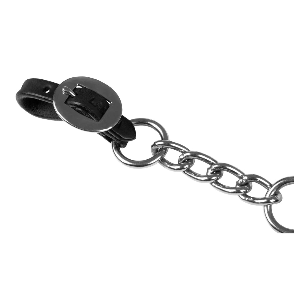 Lakota curb strap nickle fitting