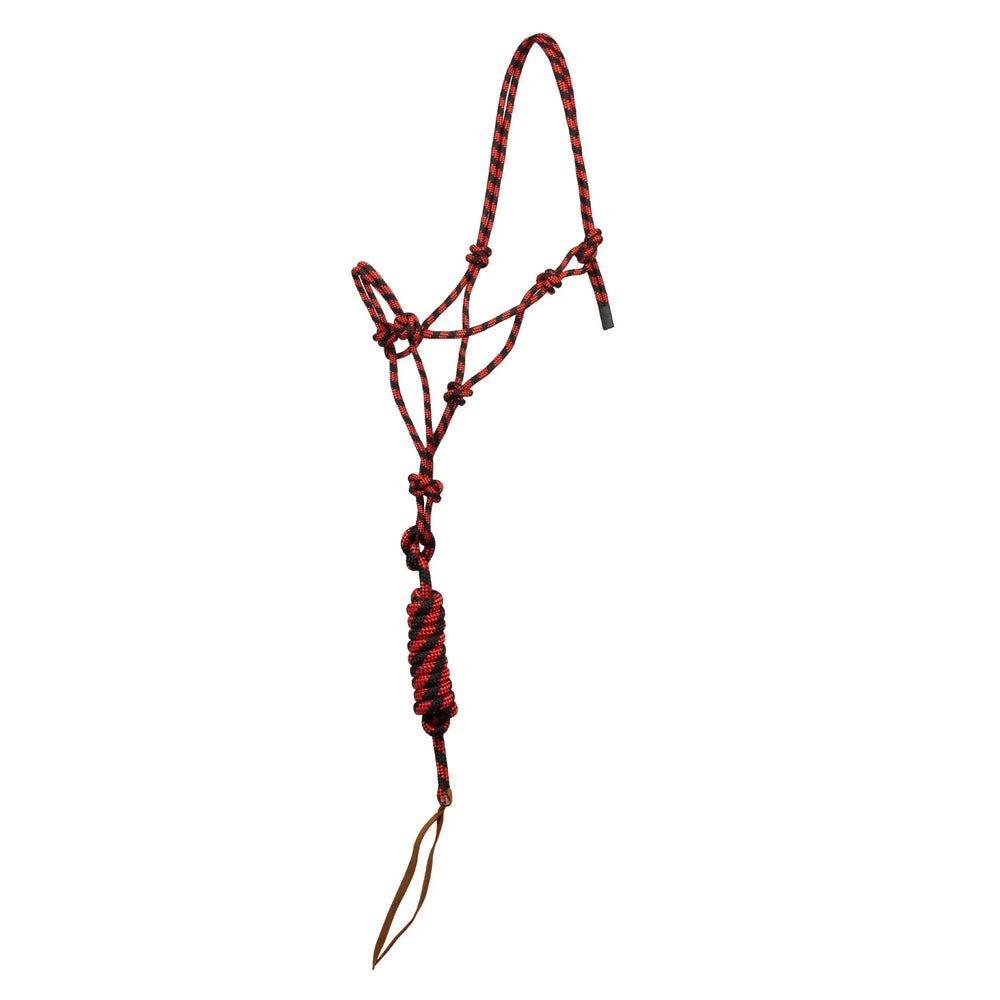 Licol en corde nouée Pool avec longe PLH03017
