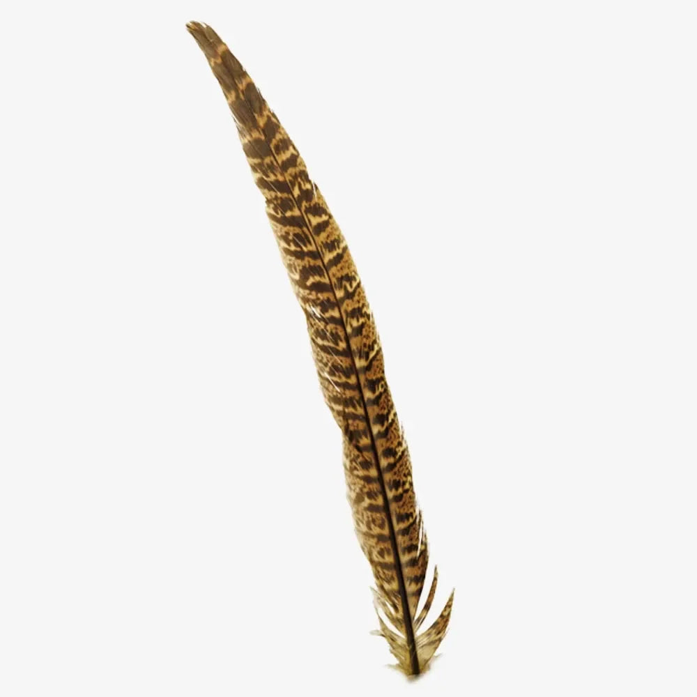 American hat makers ringneck vivid hat feather