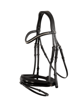 Trust Vancouver combined noseband  bridle