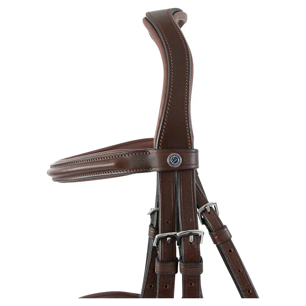 Trust Abu Dhabi bridle