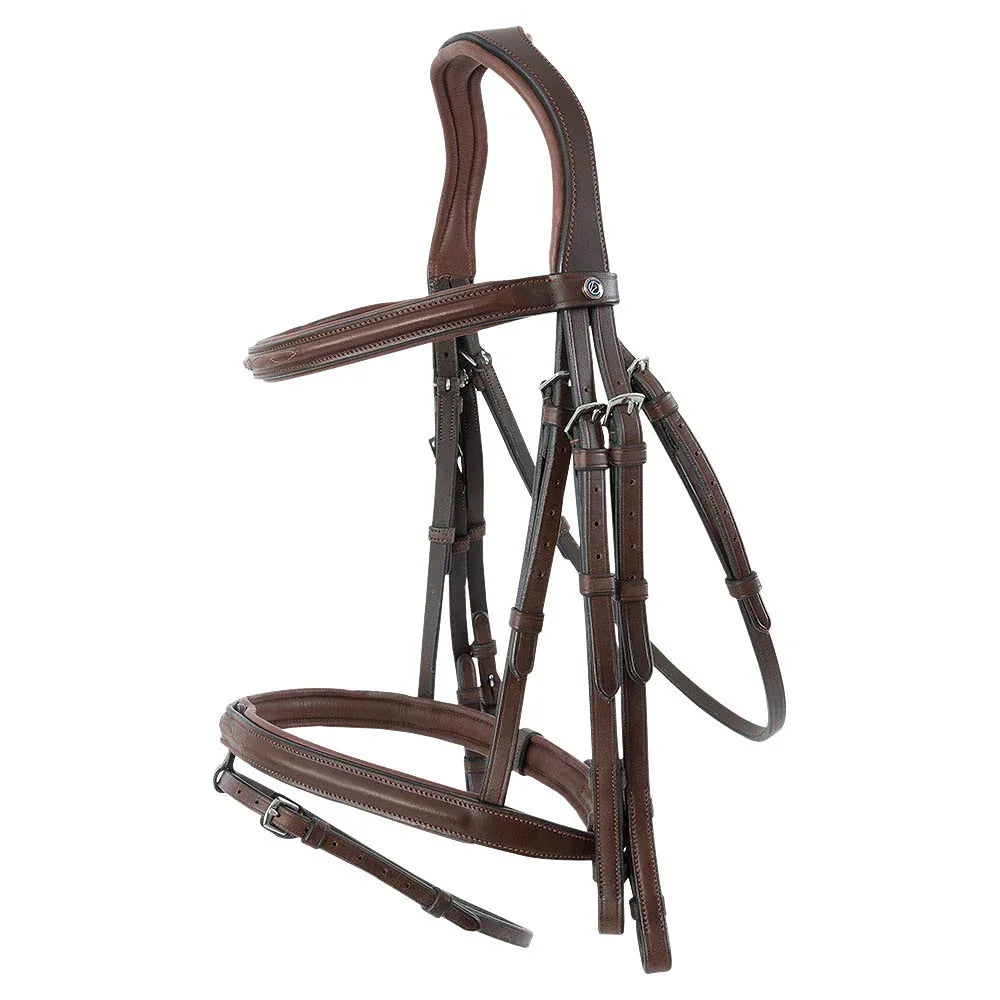 Trust Abu Dhabi bridle
