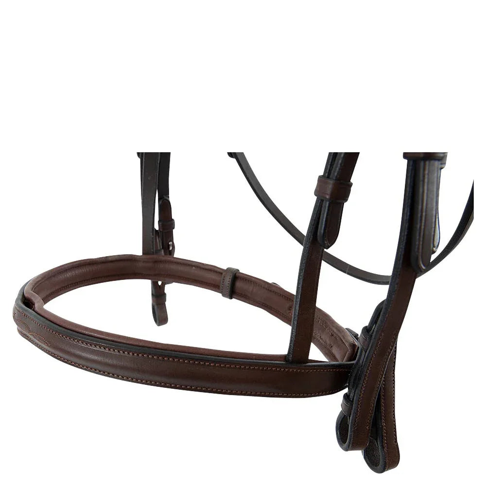 Trust Abu Dhabi bridle