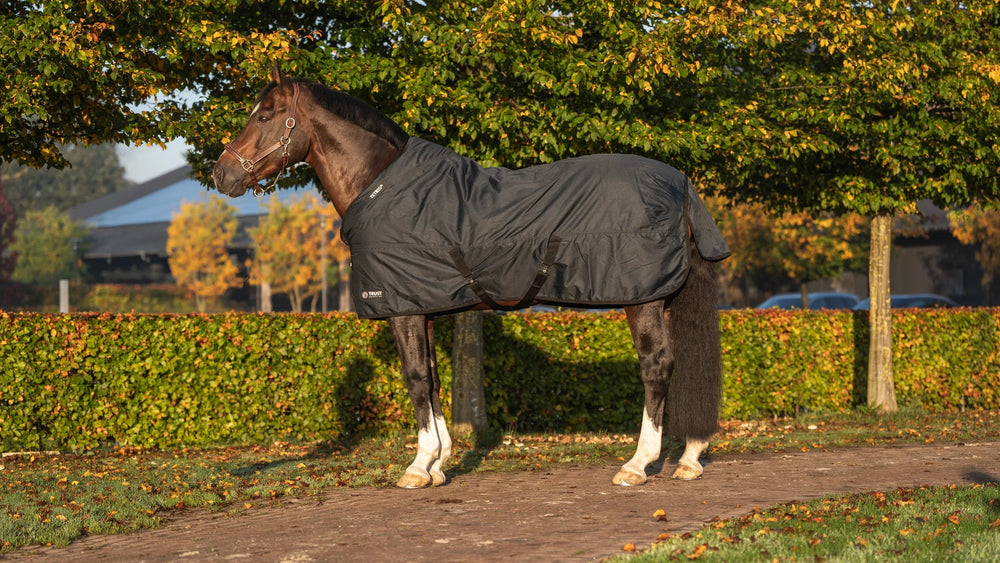 Trust equestrian tetris outdoor rug