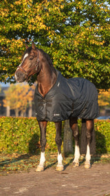 Trust equestrian tetris outdoor rug