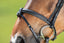 HFI anatomic bridle - HorseworldEU