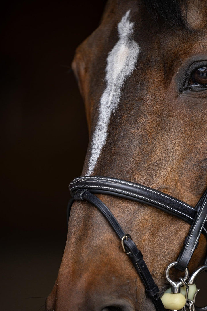 HFI double jump bridle - HorseworldEU