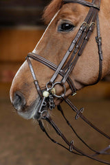 HFI double jump bridle - HorseworldEU