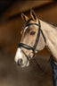 HFI edges bridle - HorseworldEU