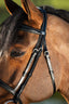 HFI elegant bridle - HorseworldEU