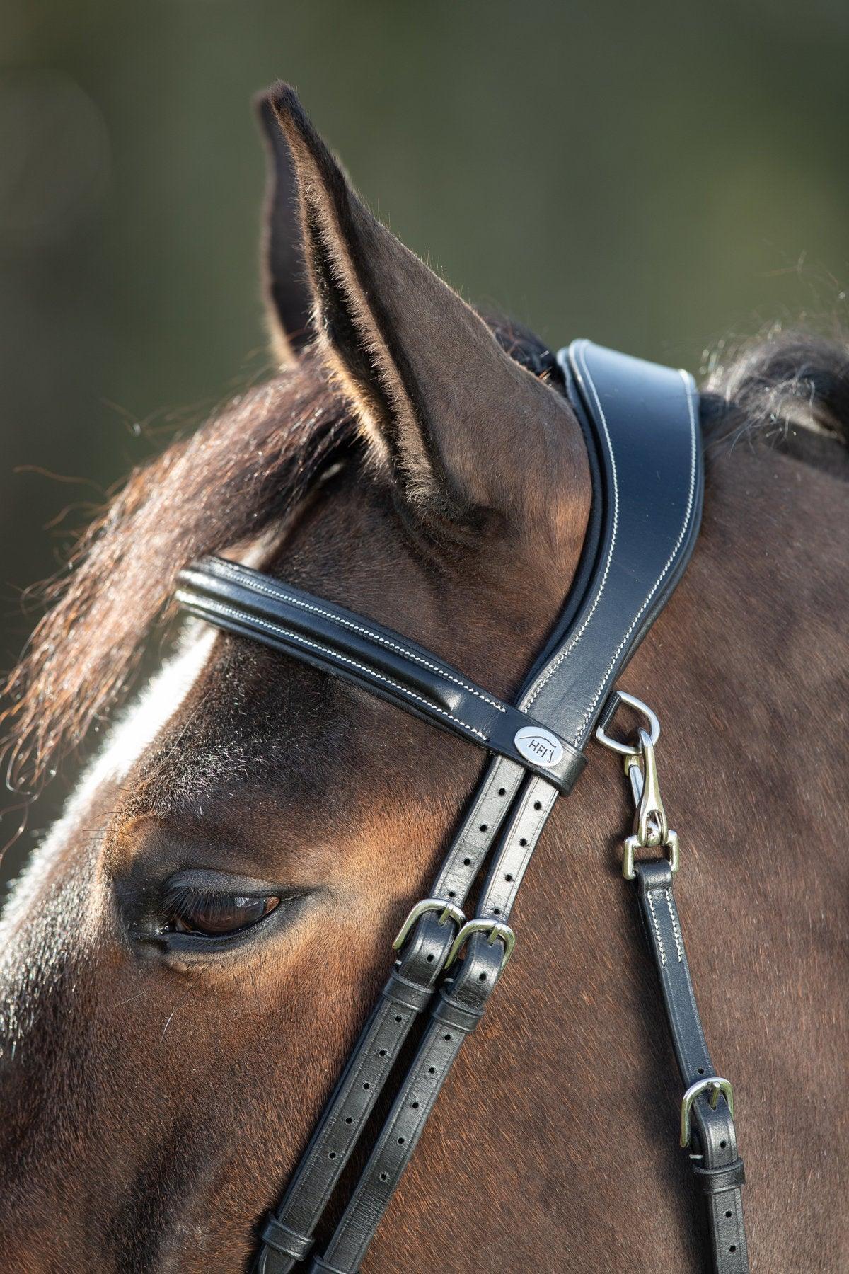 HFI functional bridle - HorseworldEU