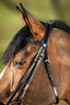 HFI German bridle - HorseworldEU