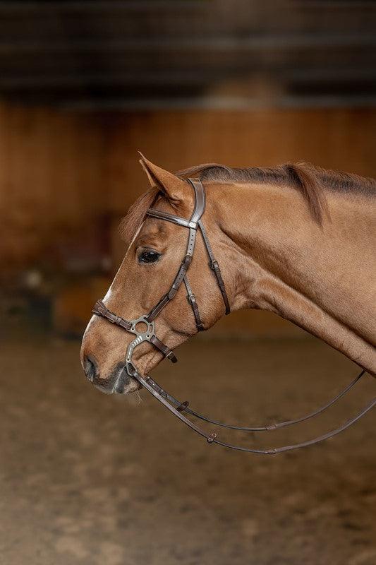 HFI hackamore bridle - HorseworldEU