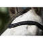 HFI luxe bridle HFI